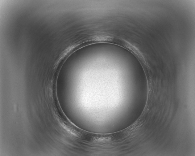 X0000061720155200512050916