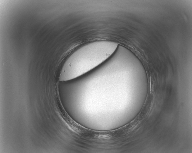 X0000061720157200512050916