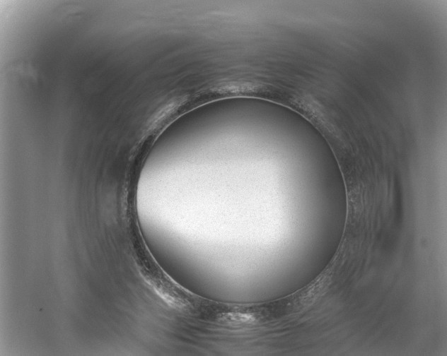 X0000061720159200512050916