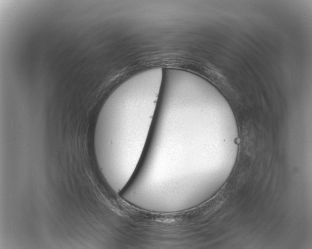 X0000061720161200512050916