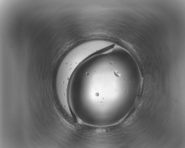 X0000061720162200512050916