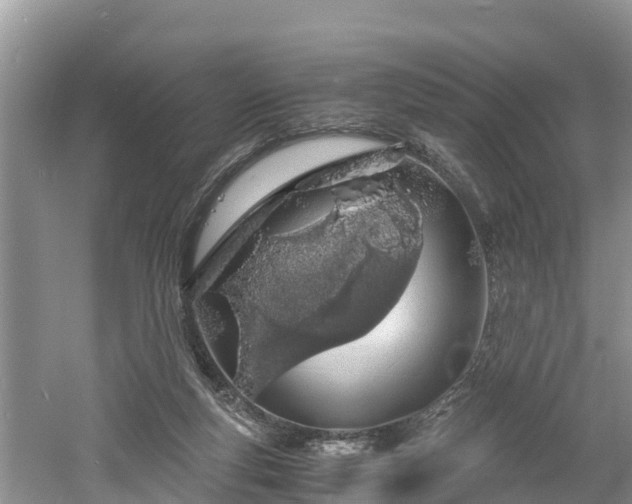 X0000061720163200512050916