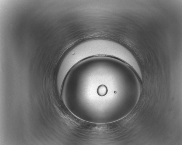 X0000061720164200512050916