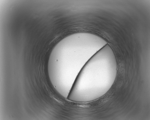 X0000061720165200512050916