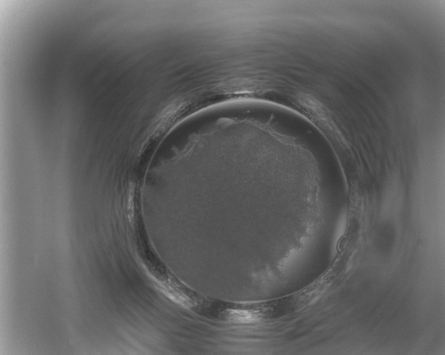 X0000061720167200512050916