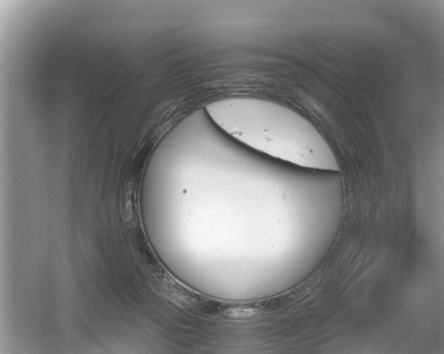 X0000061720169200512050916