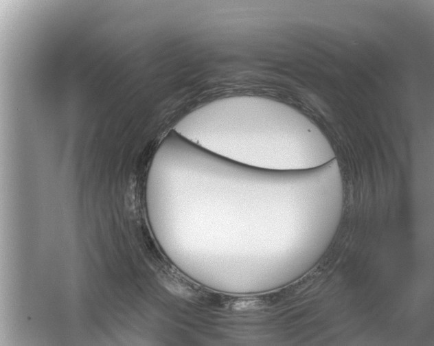 X0000061720173200512050916