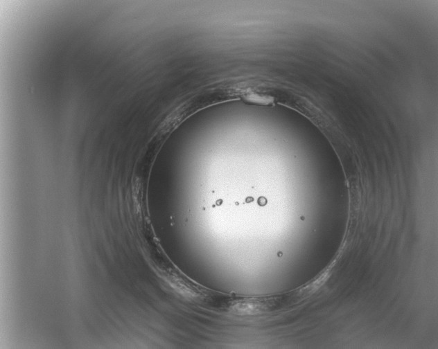 X0000061720174200512050916