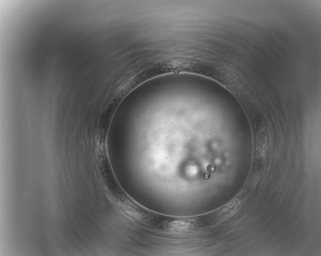 X0000061720176200512050916