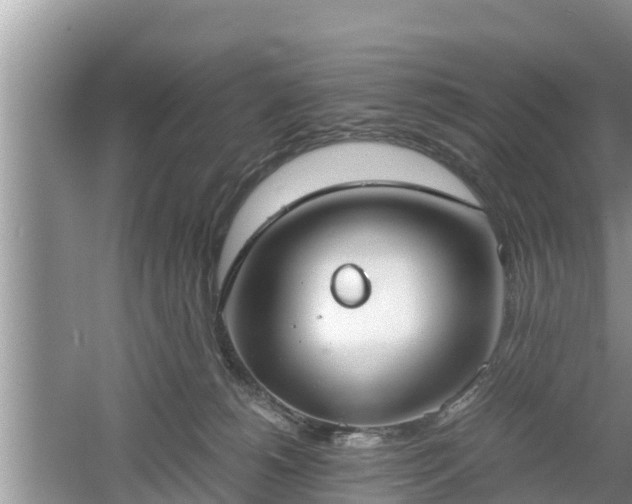 X0000061720180200512050916