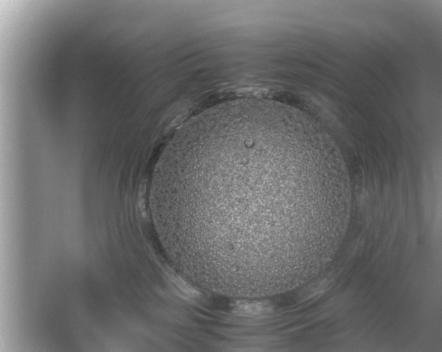 X0000061720185200512050916