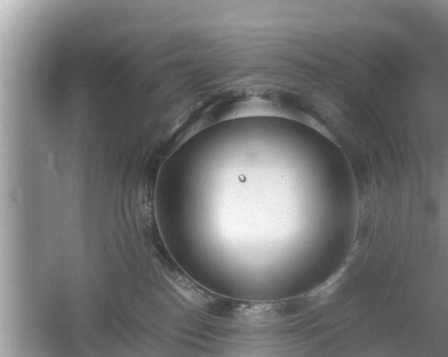 X0000061720186200512050916