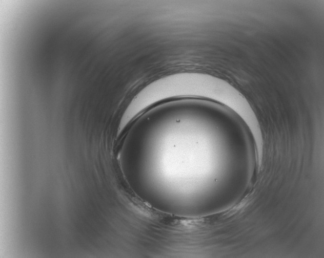 X0000061720188200512050916