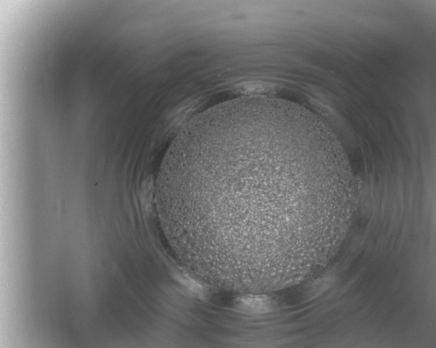 X0000061720189200512050916