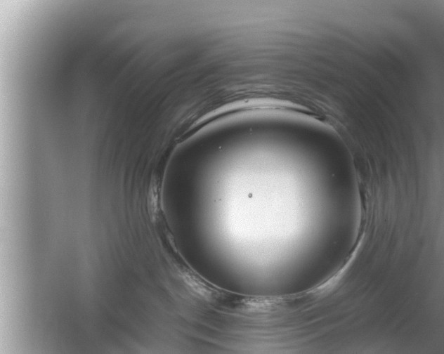 X0000061720190200512050916