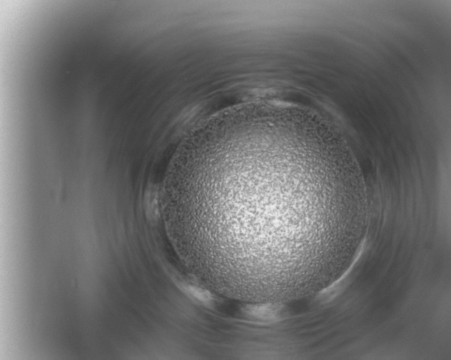 X0000061720191200512050916