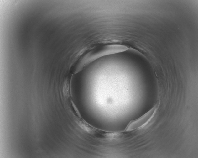 X0000061720192200512050916