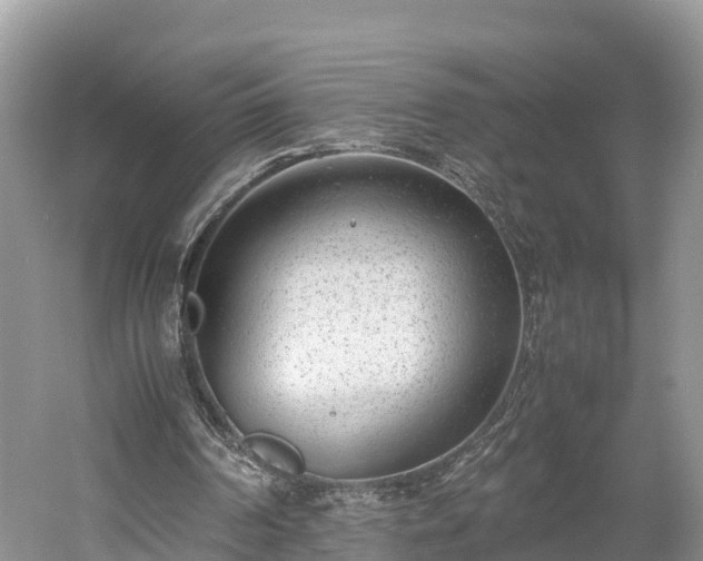 X0000061720194200512050916