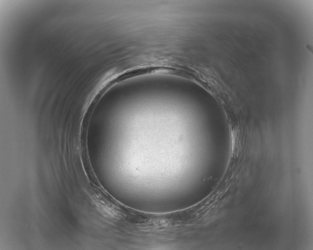 X0000061720195200512050916