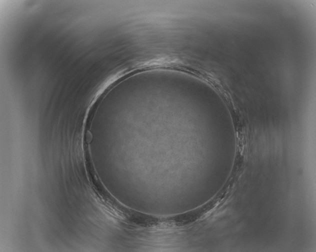 X0000061720196200512050916