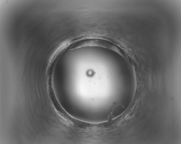 X0000061720197200512050916