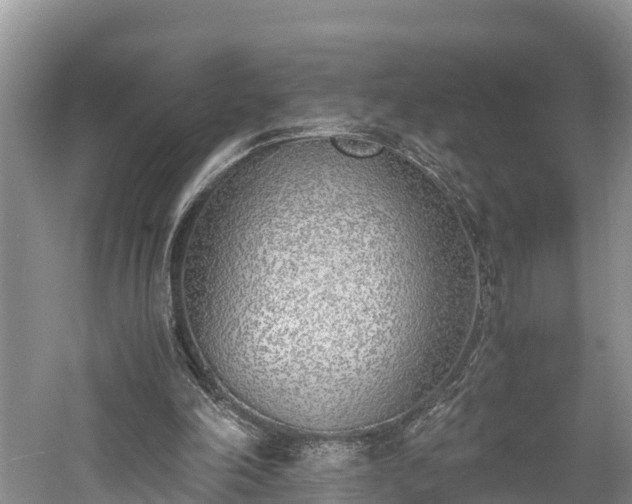 X0000061720198200512050916