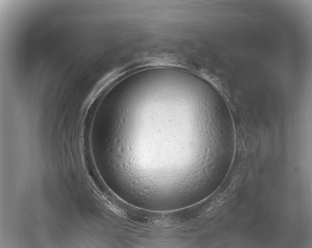 X0000061720199200512050916