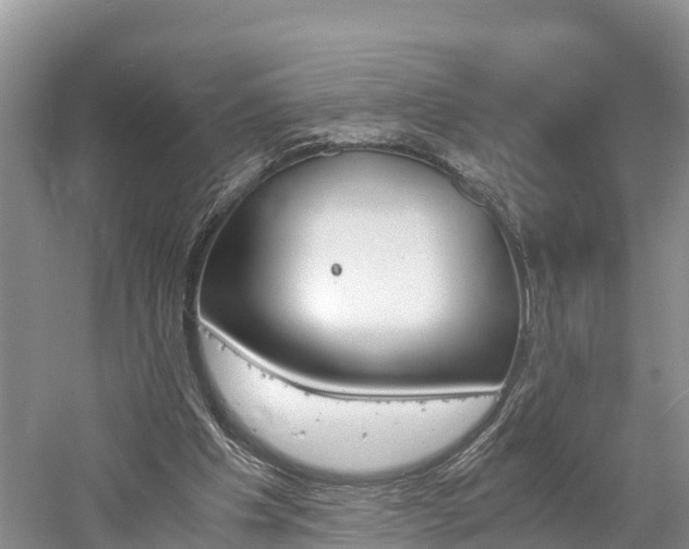 X0000061720201200512050916