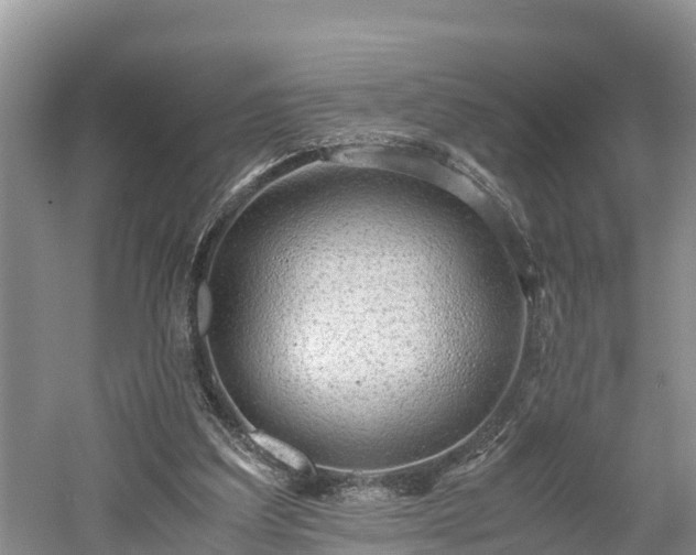 X0000061720203200512050915