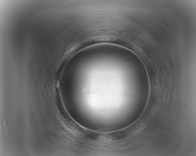 X0000061720207200512050915