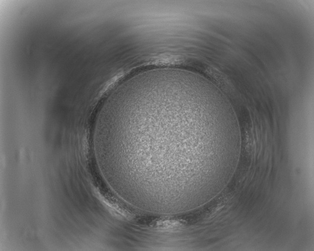 X0000061720208200512050915