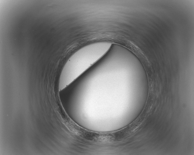 X0000061720209200512050915