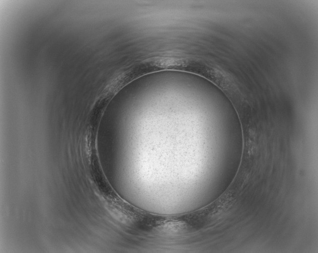 X0000061720210200512050915