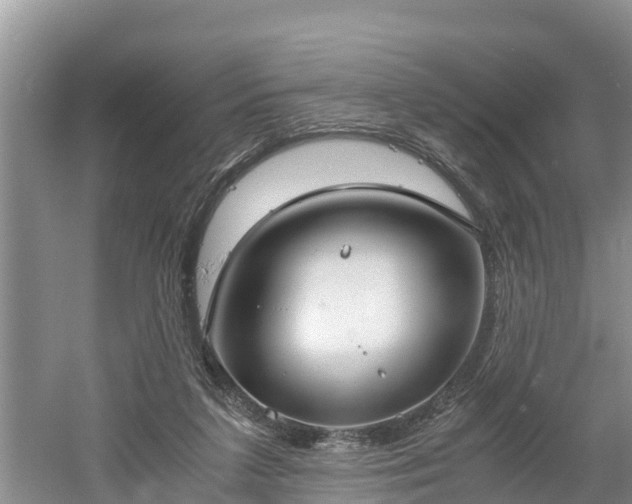 X0000061720211200512050915