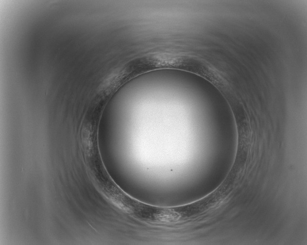 X0000061720215200512050915