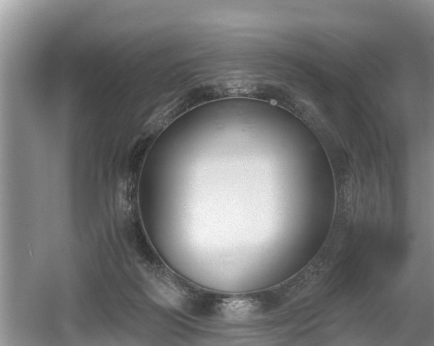 X0000061720218200512050915