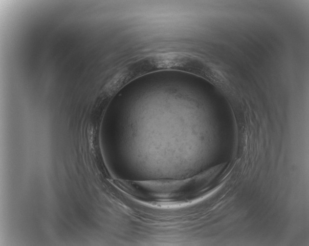 X0000061720219200512050915