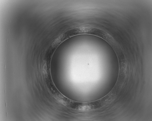 X0000061720220200512050915