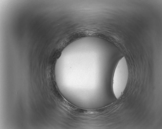 X0000061720221200512050915