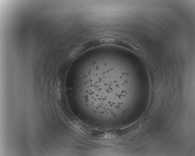 X0000061720223200512050915