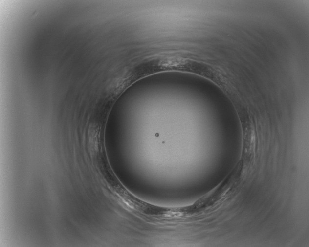 X0000061720227200512050915