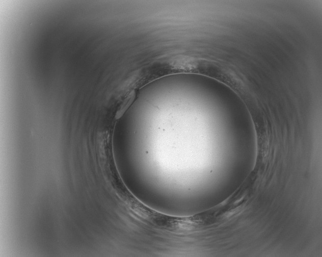 X0000061720229200512050915