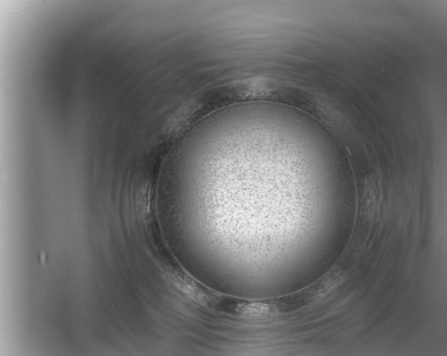 X0000061720230200512050915