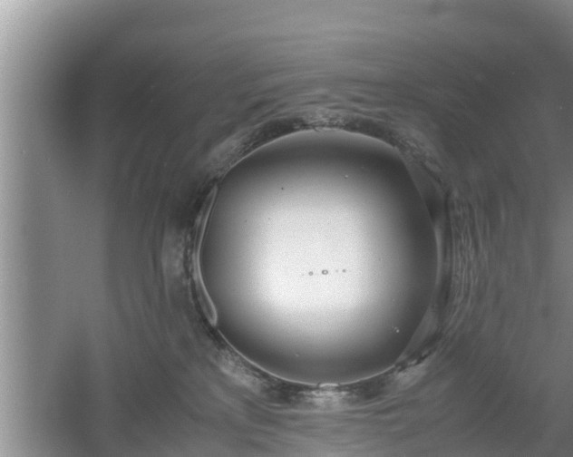 X0000061720233200512050915