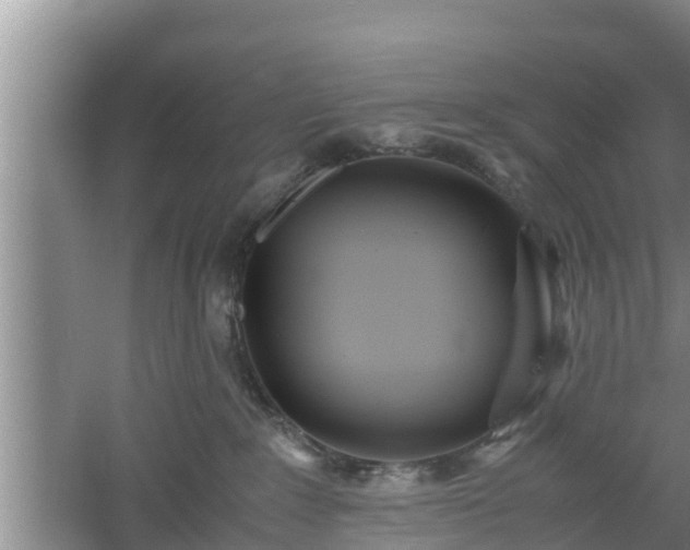 X0000061720235200512050915