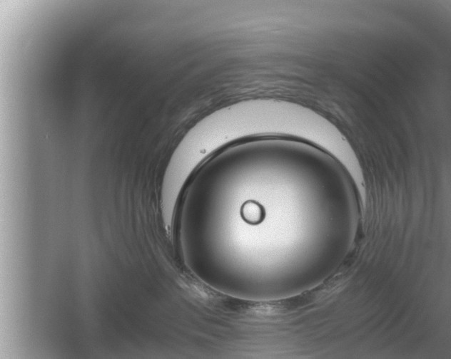 X0000061720237200512050915