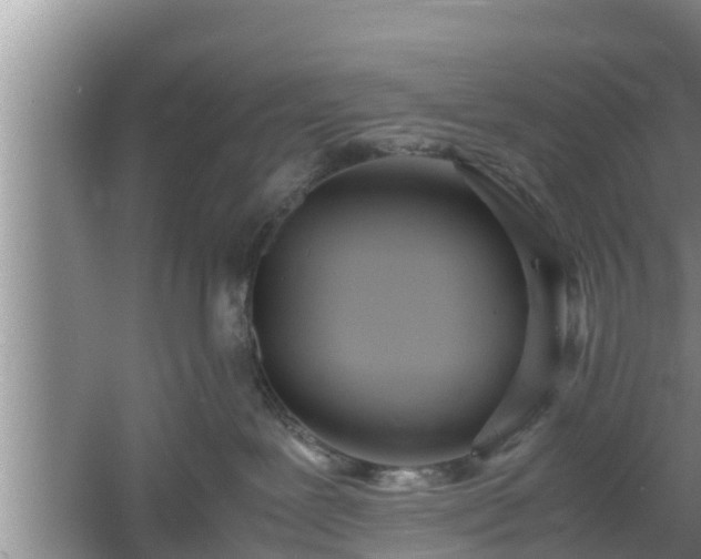 X0000061720239200512050915