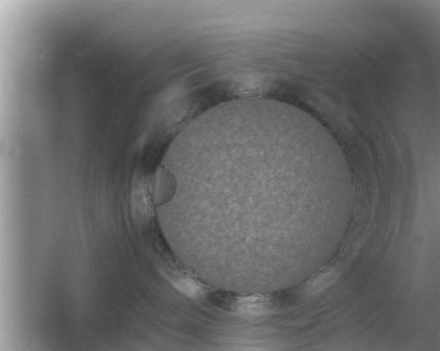 X0000061720240200512050915