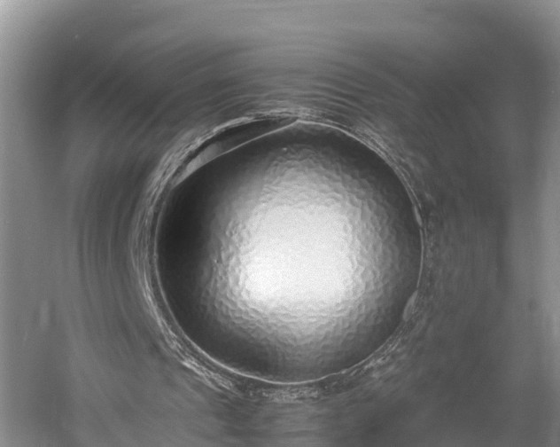 X0000061720241200512050914