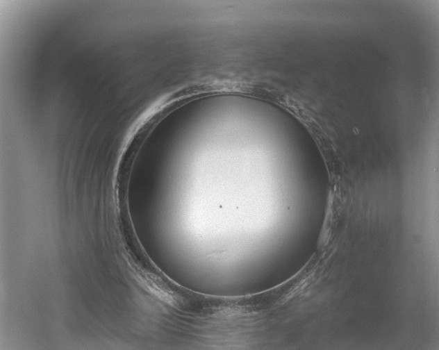 X0000061720246200512050914